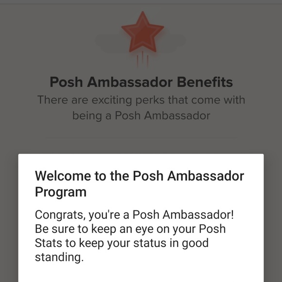 🏆Posh Ambassador🏆 - Picture 3 of 3
